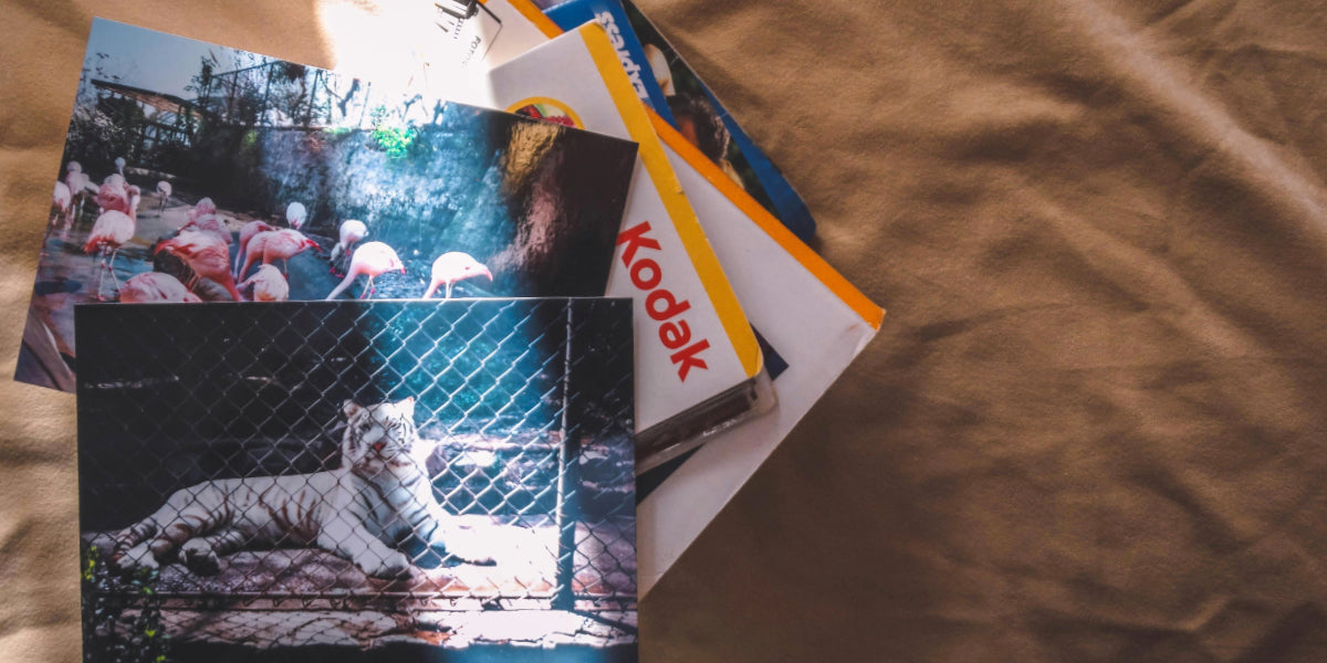 Now is the time to tackle the stacks of old photos and albums in your home. Let Photokive help!